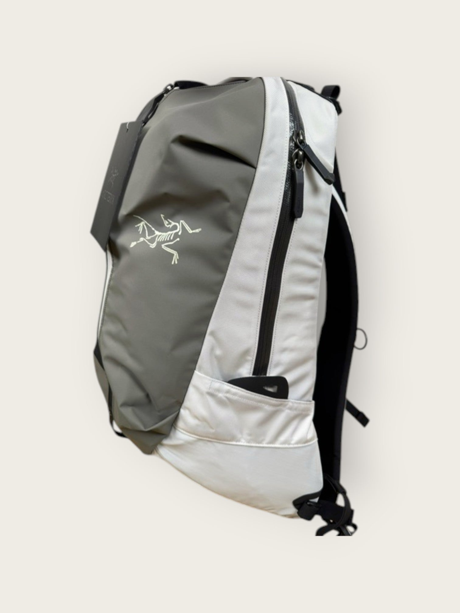 Arc'teryx Bikerucksack (22L)