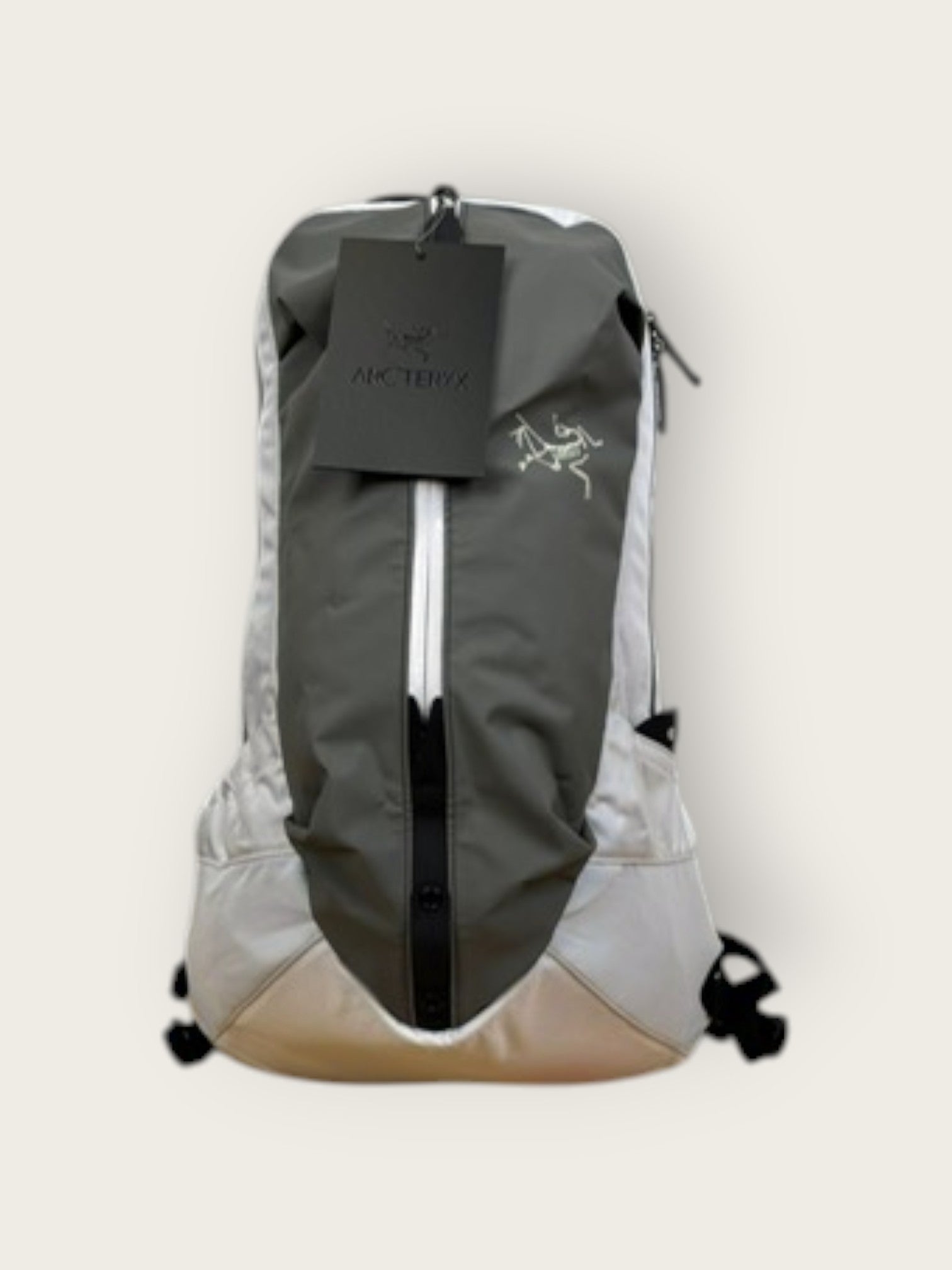 Arc'teryx Bikerucksack (22L)