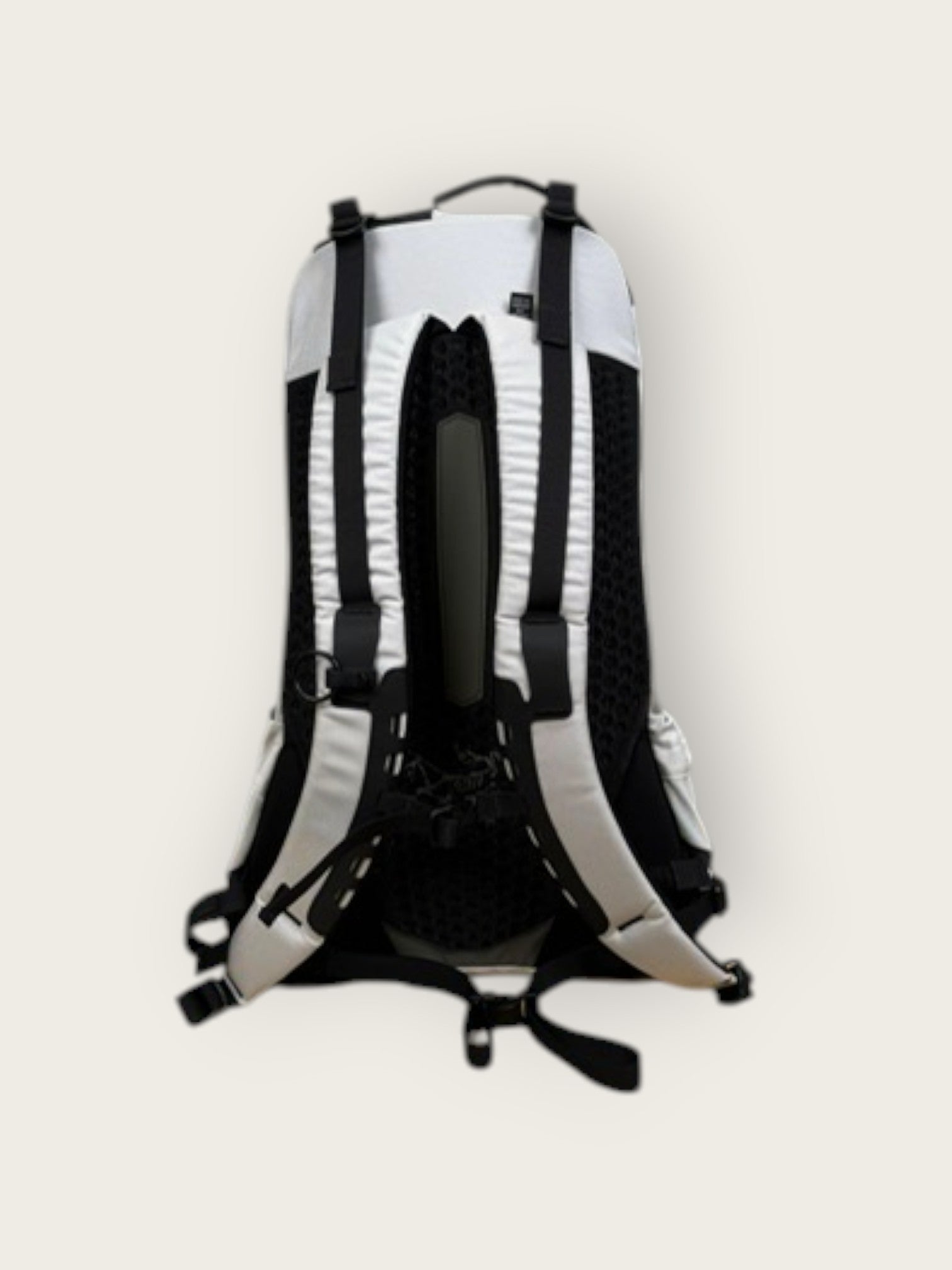 Arc'teryx Bikerucksack (22L)