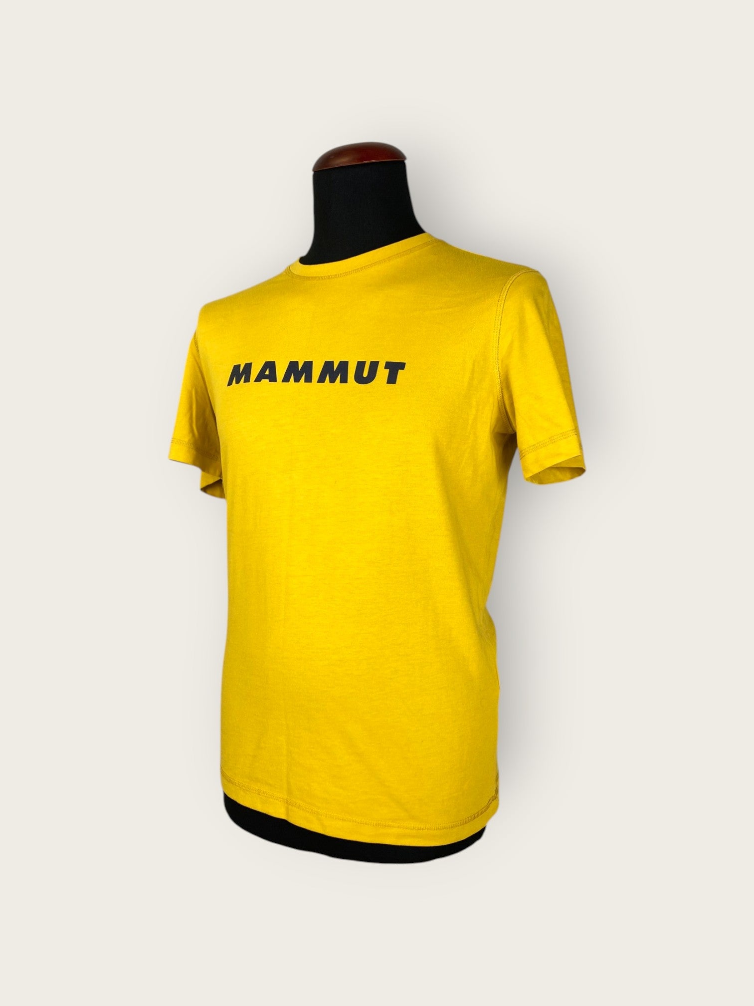Mammut Core T-Shirt (M)