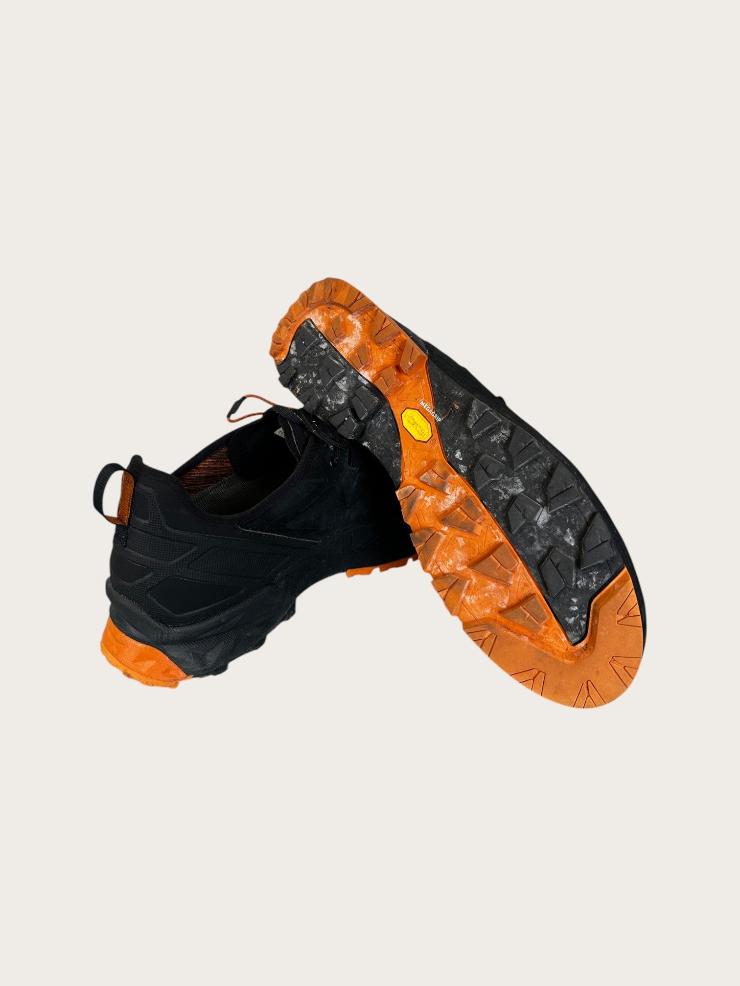 Aku Rock DFS GTX Zustiegsschuhe (46)