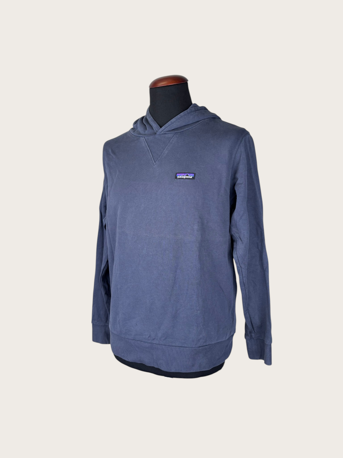 Patagonia Hoodie (M)