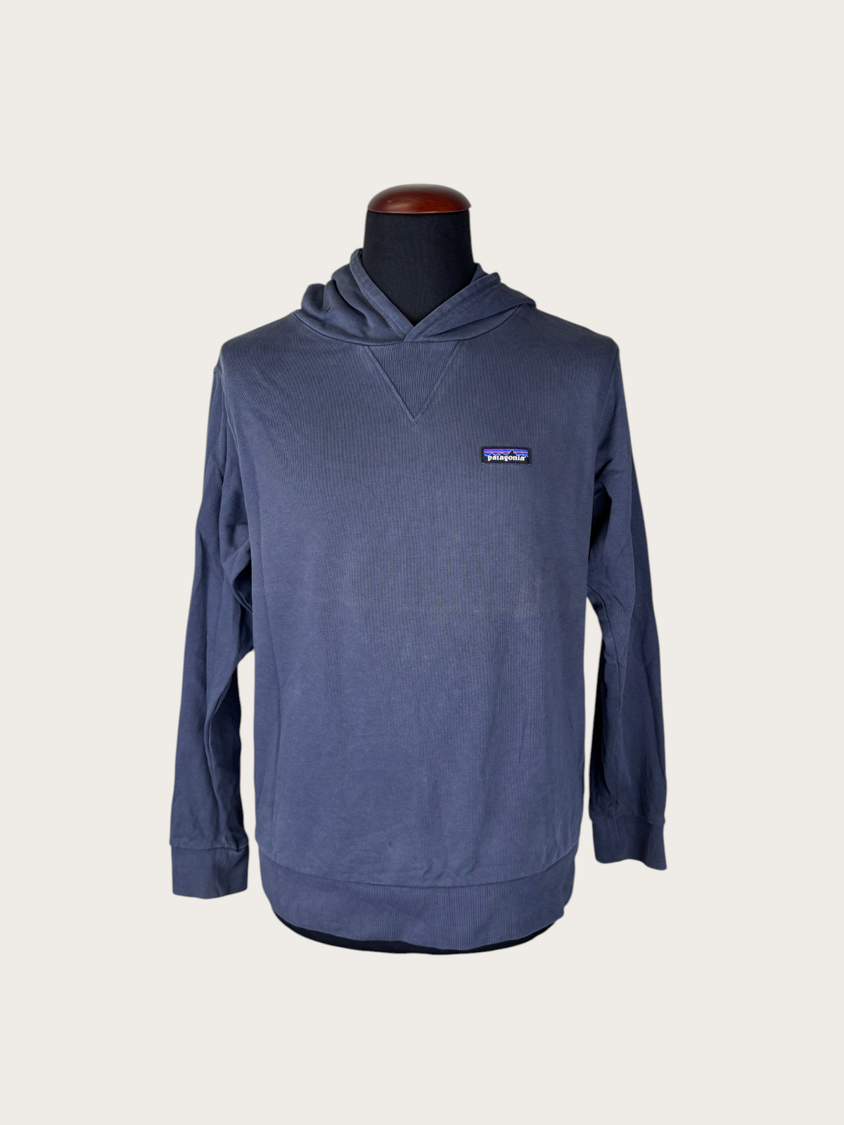 Patagonia Hoodie (M)