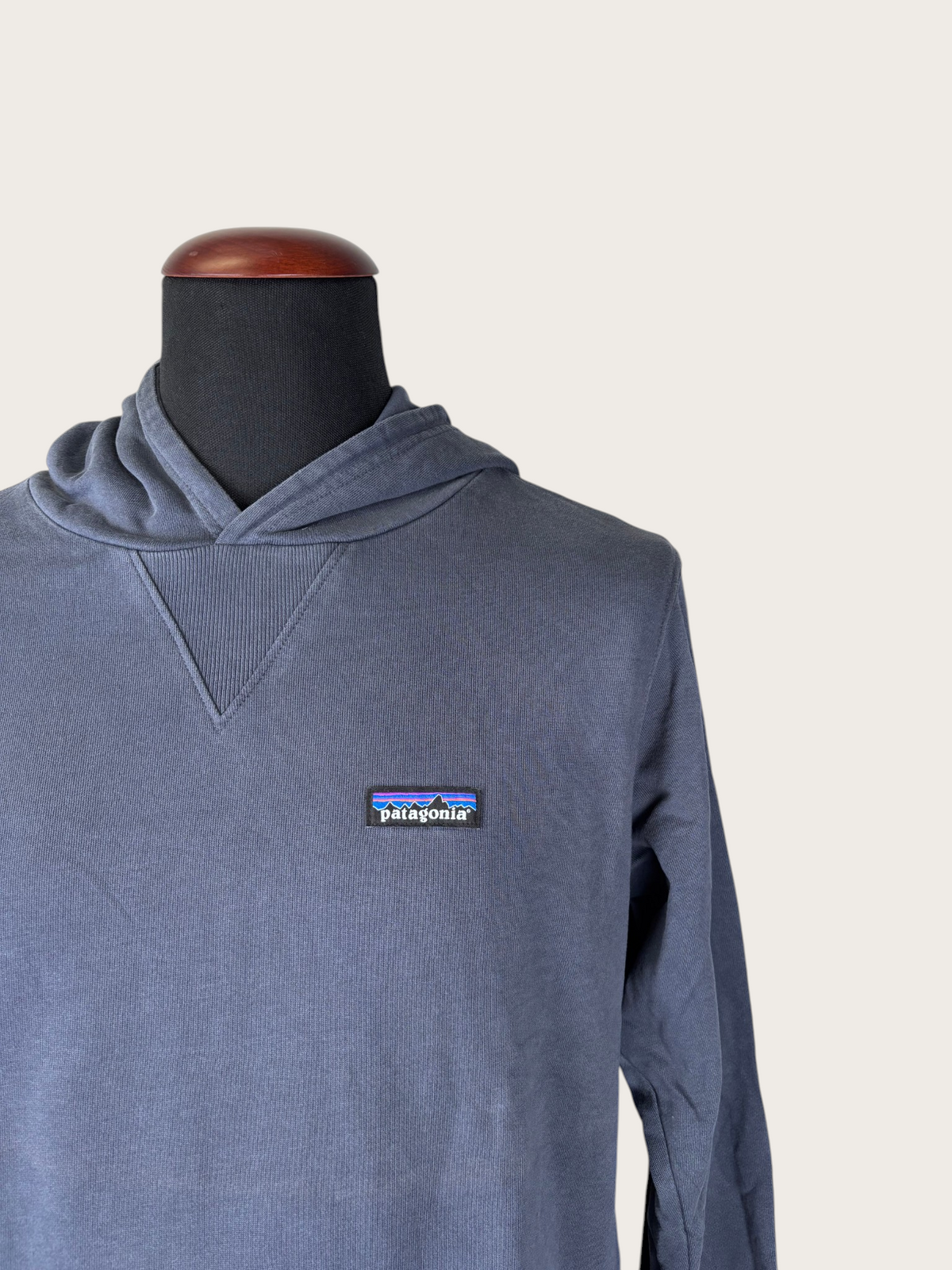 Patagonia Hoodie (M)