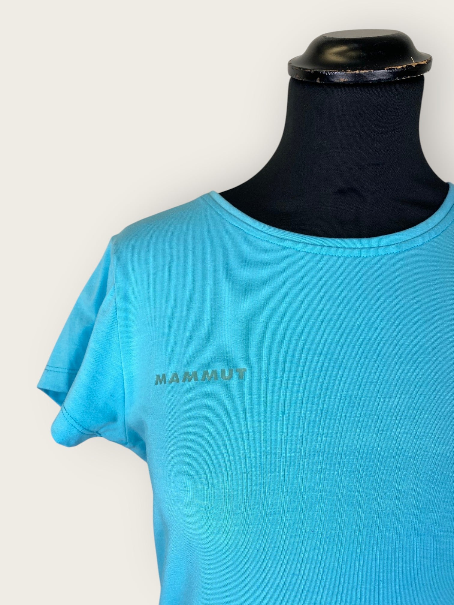 Mammut T-Shirt (M)