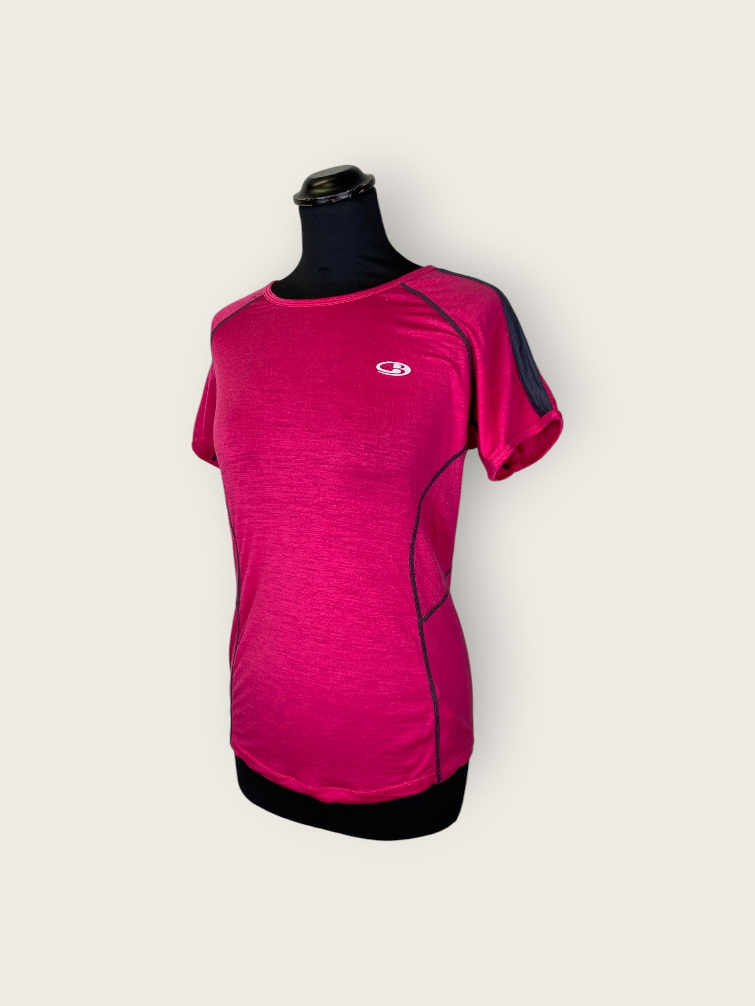 Icebreaker Merino T-Shirt (M)