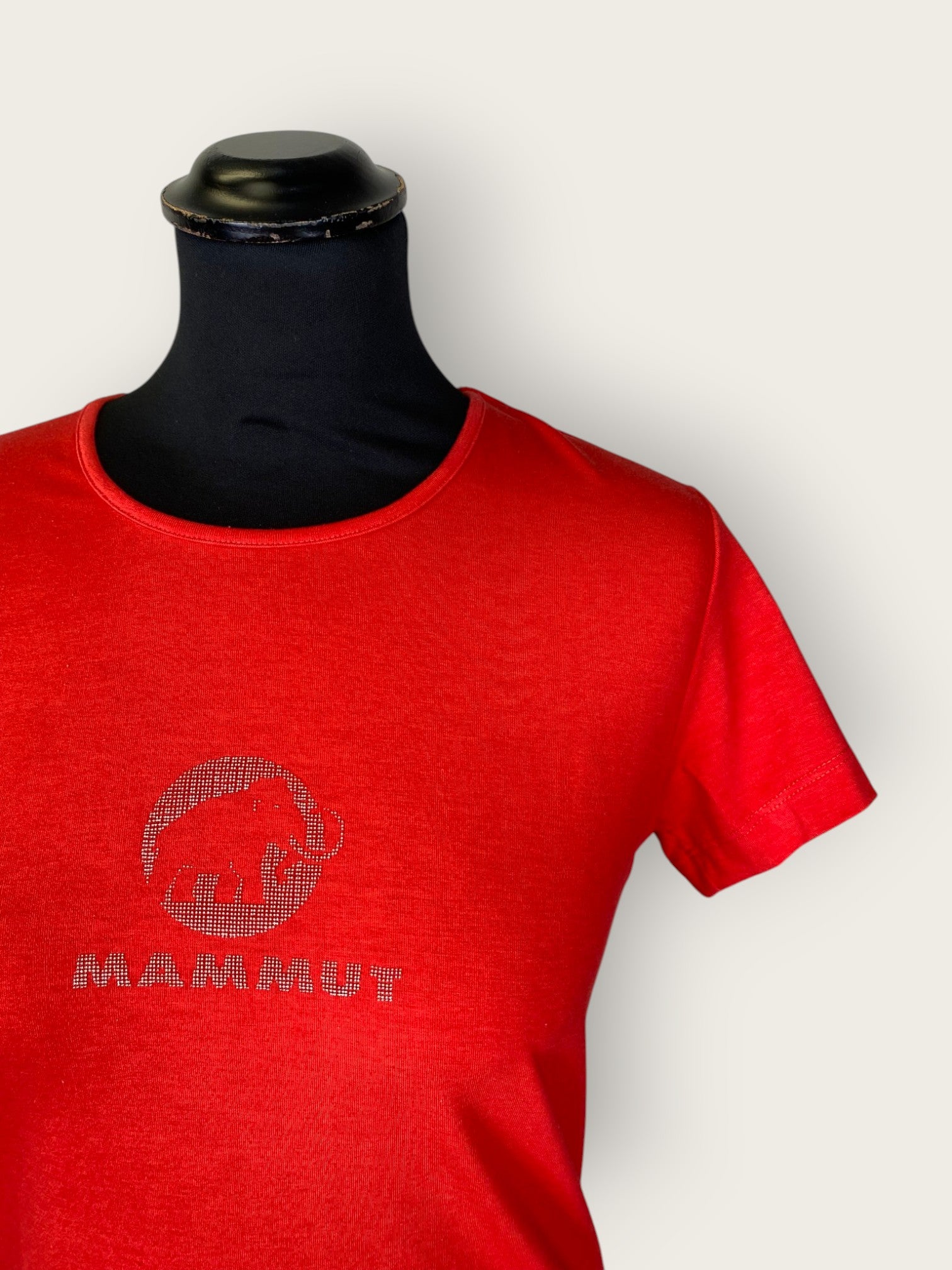 Mammut T-Shirt (S)