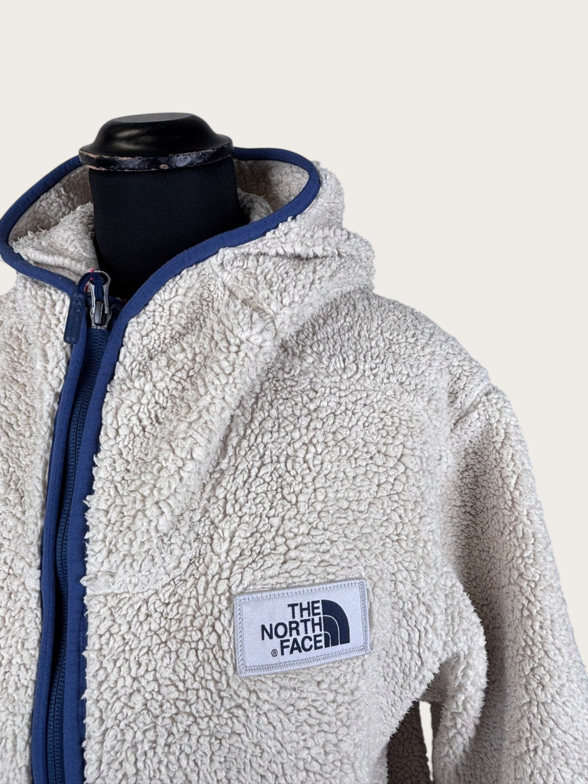 The North Face Campshire Half-Zip Hoodie (L)