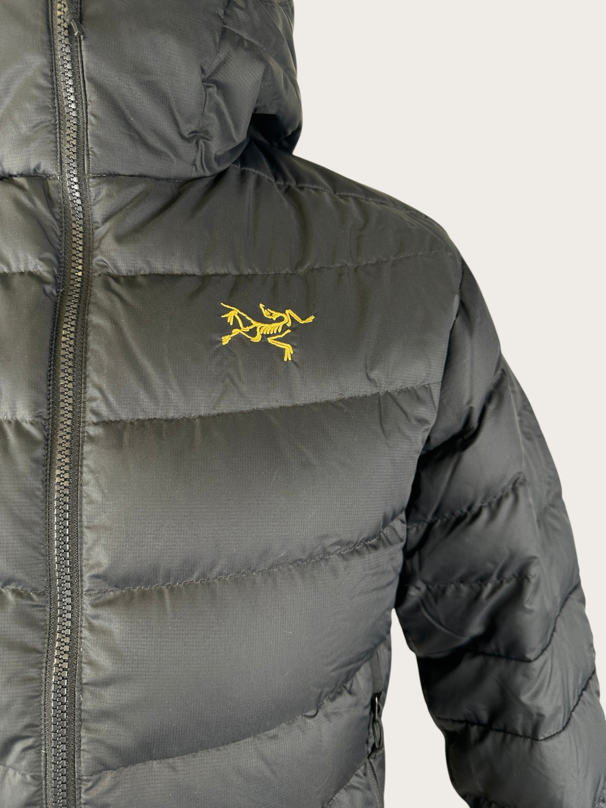 Arc'teryx Thorium AR Daunenjacke (S)