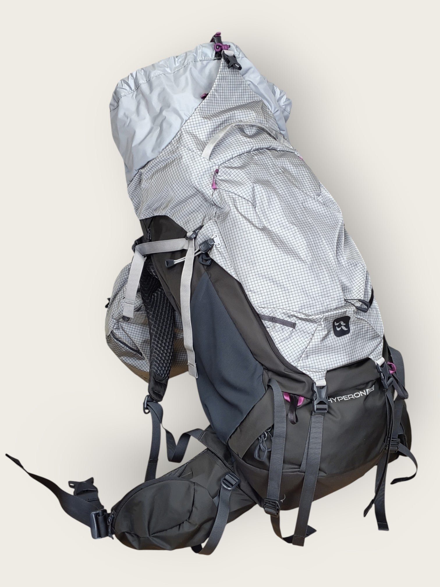 Alpine Lowe Backpack (32L)
