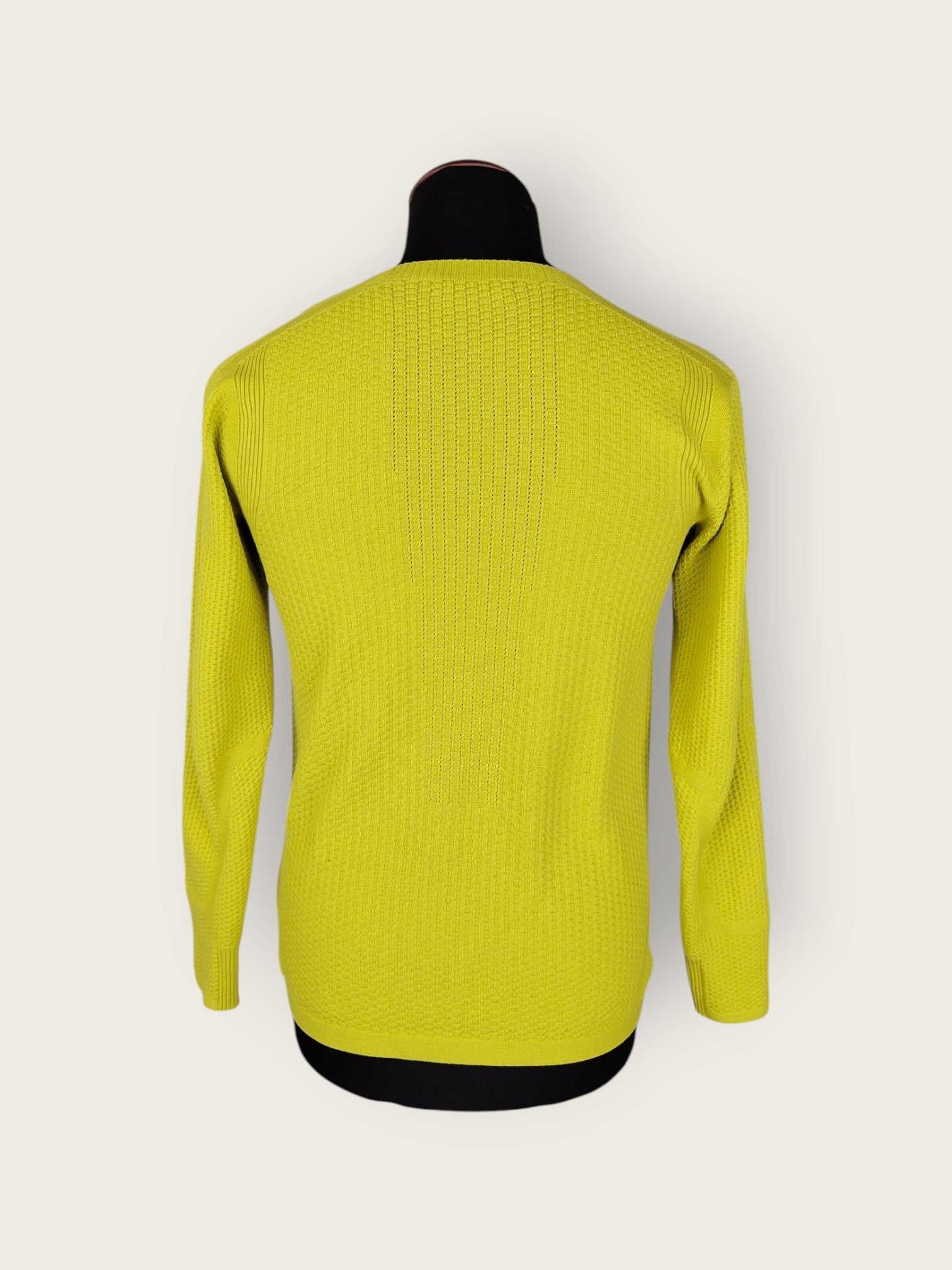 Arc'teryx Pullover (S)