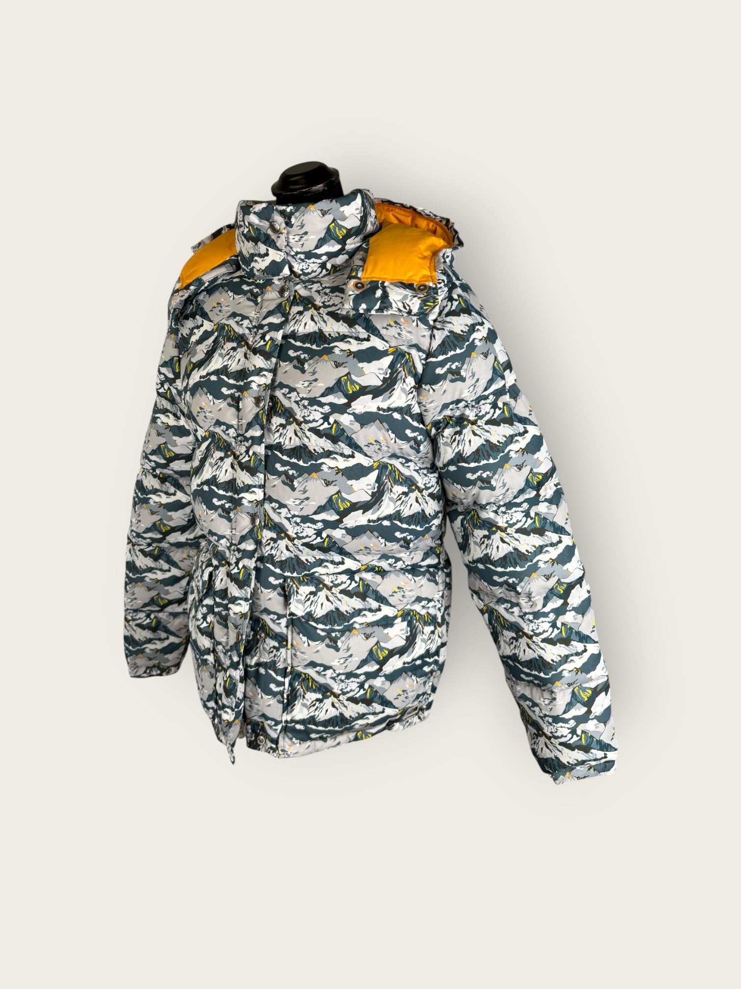 The North Face Daunenjacke (L)