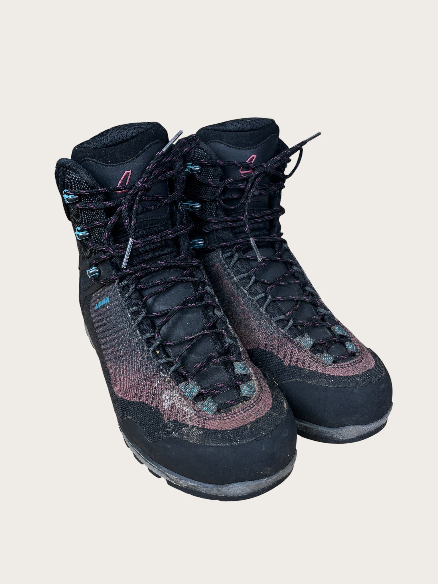 Lowa GTX Bergschuhe (42)