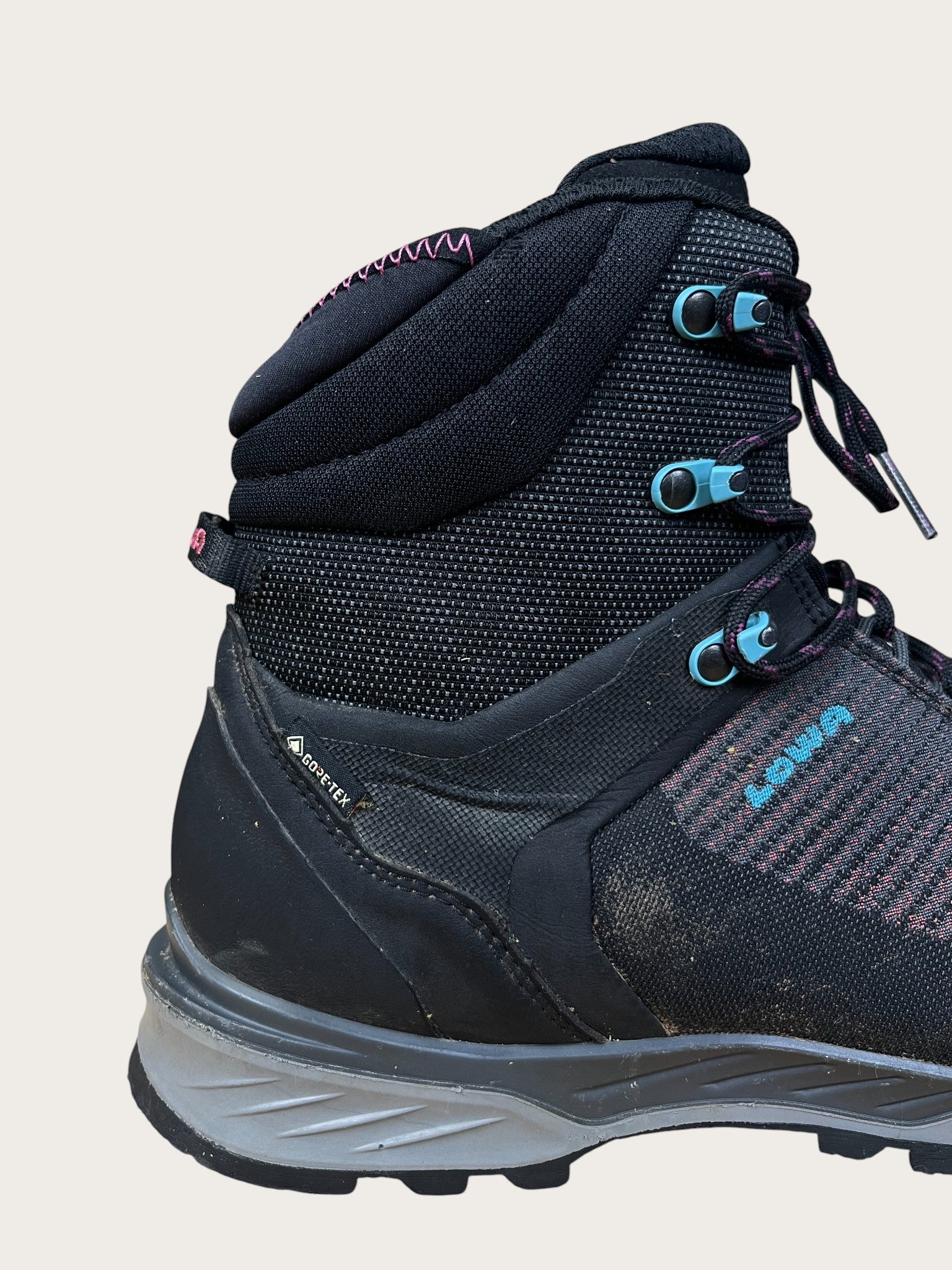 Lowa GTX Bergschuhe (42)