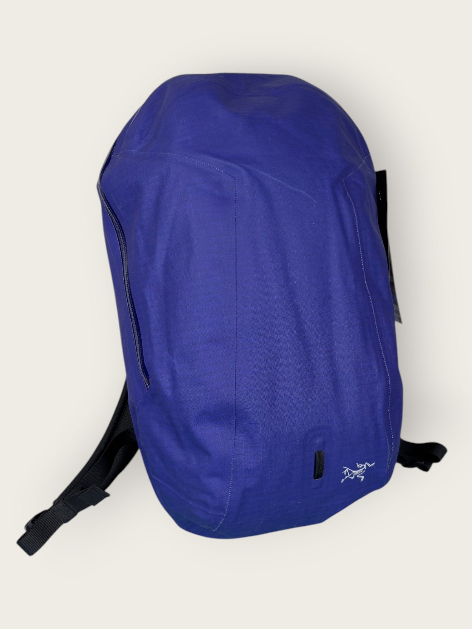 Arc'teryx Freizeitrucksack (16L)