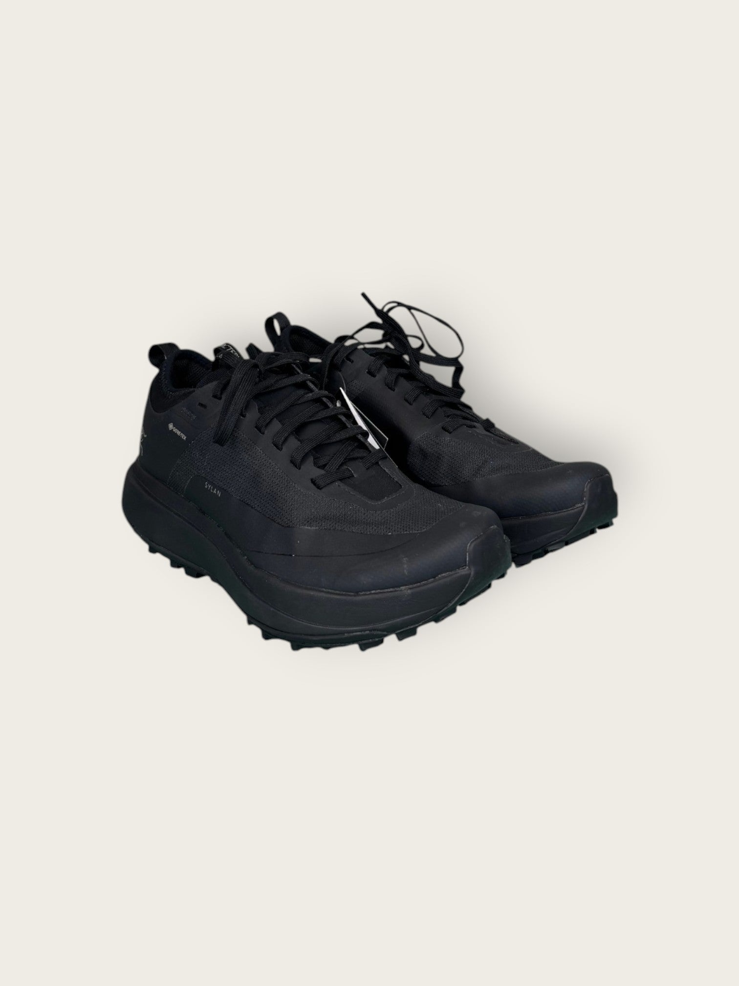 Arc'teryx GTX Trailrunningschuhe