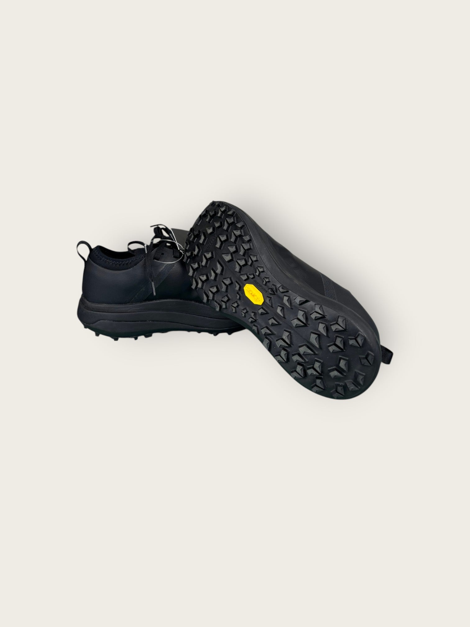 Arc'teryx GTX Trailrunningschuhe