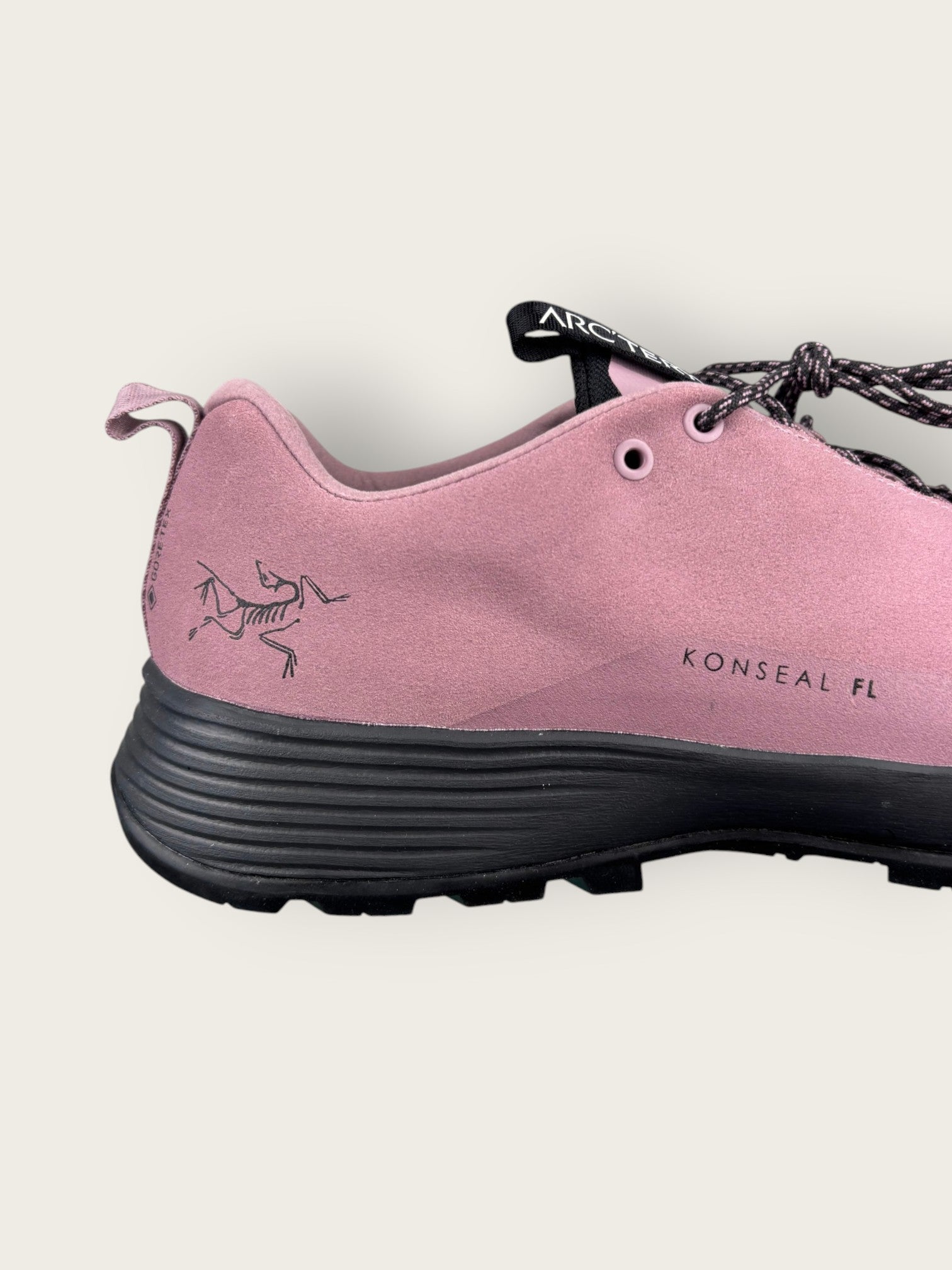 Arc'teryx GTX Zustiegsschuhe (42)