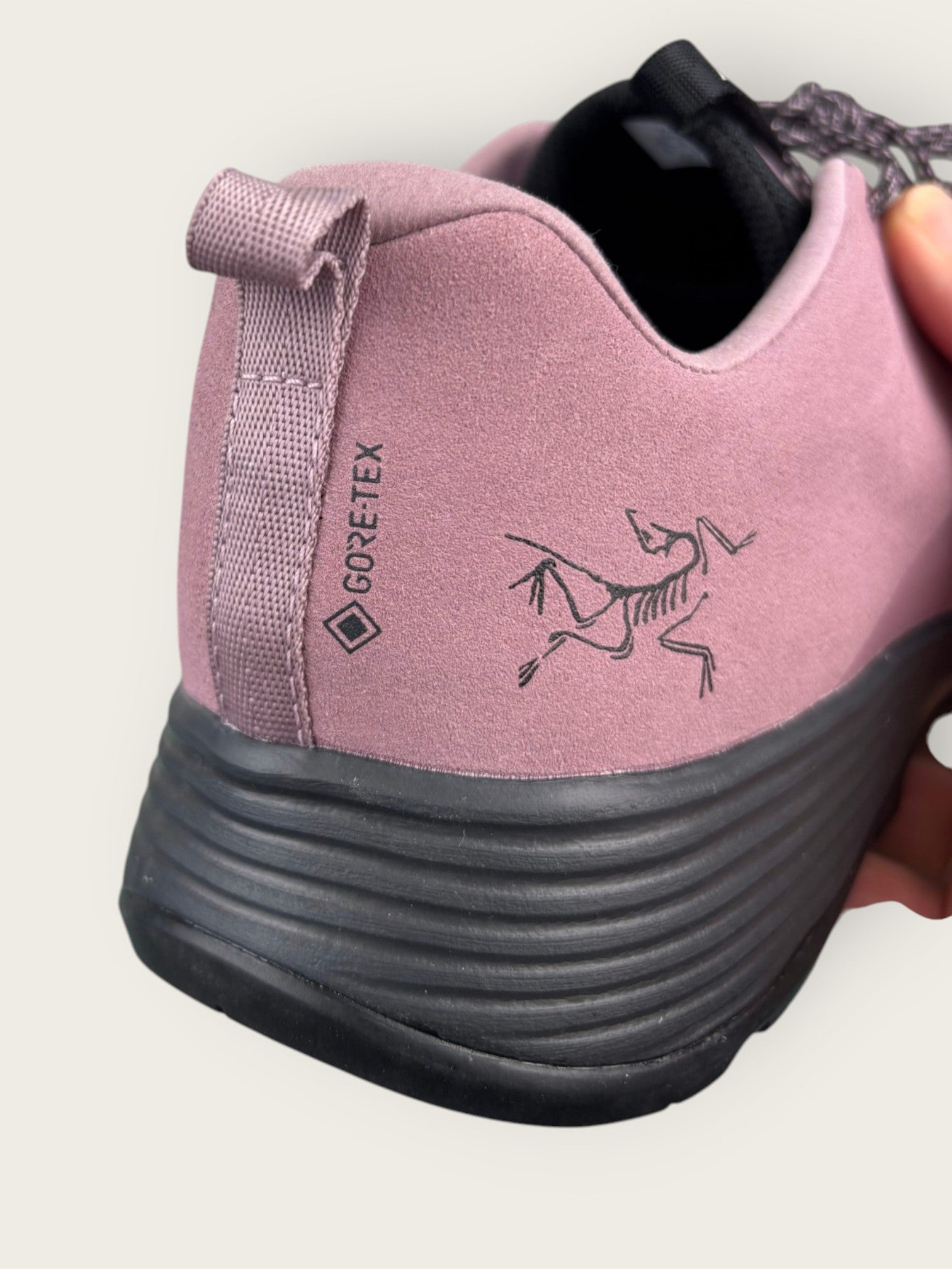 Arc'teryx GTX Zustiegsschuhe (42)