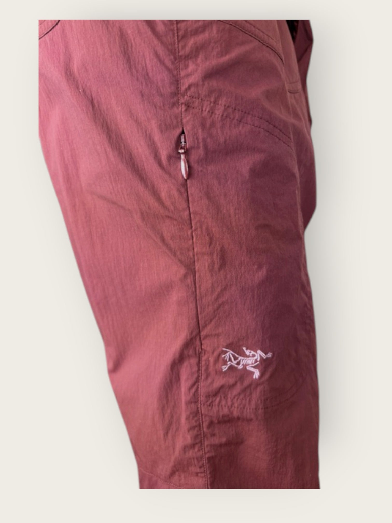 Arc'teryx Shorts (XL)