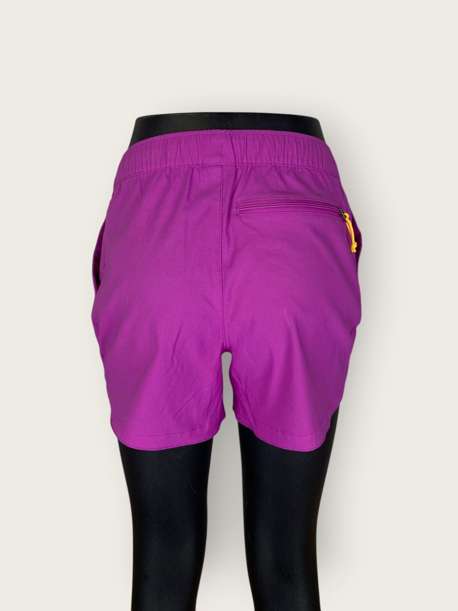 The North Face Shorts (XS)
