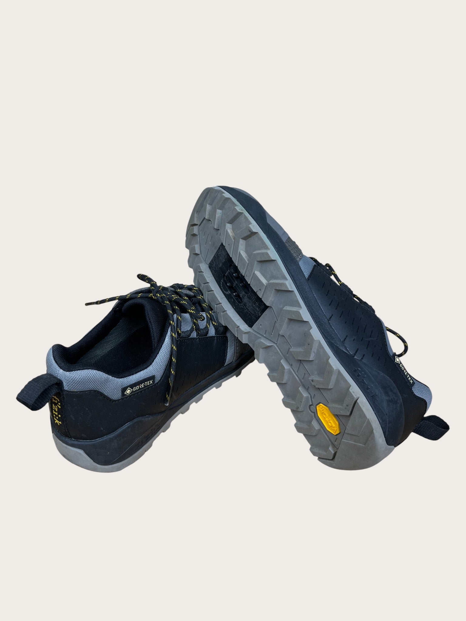 fi'zi:k GTX Bikeschuhe (42)