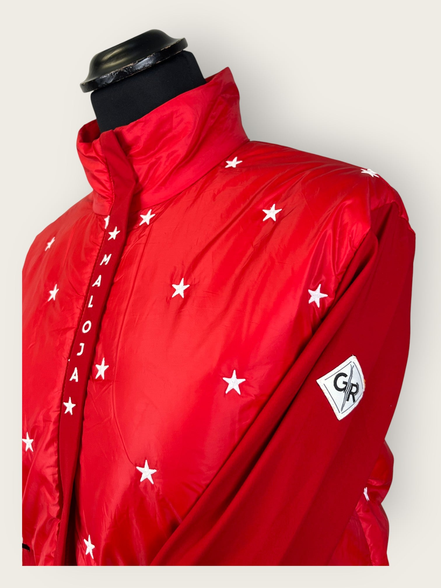WILA Daehlie Cross-Country Ski Jacket (M)
