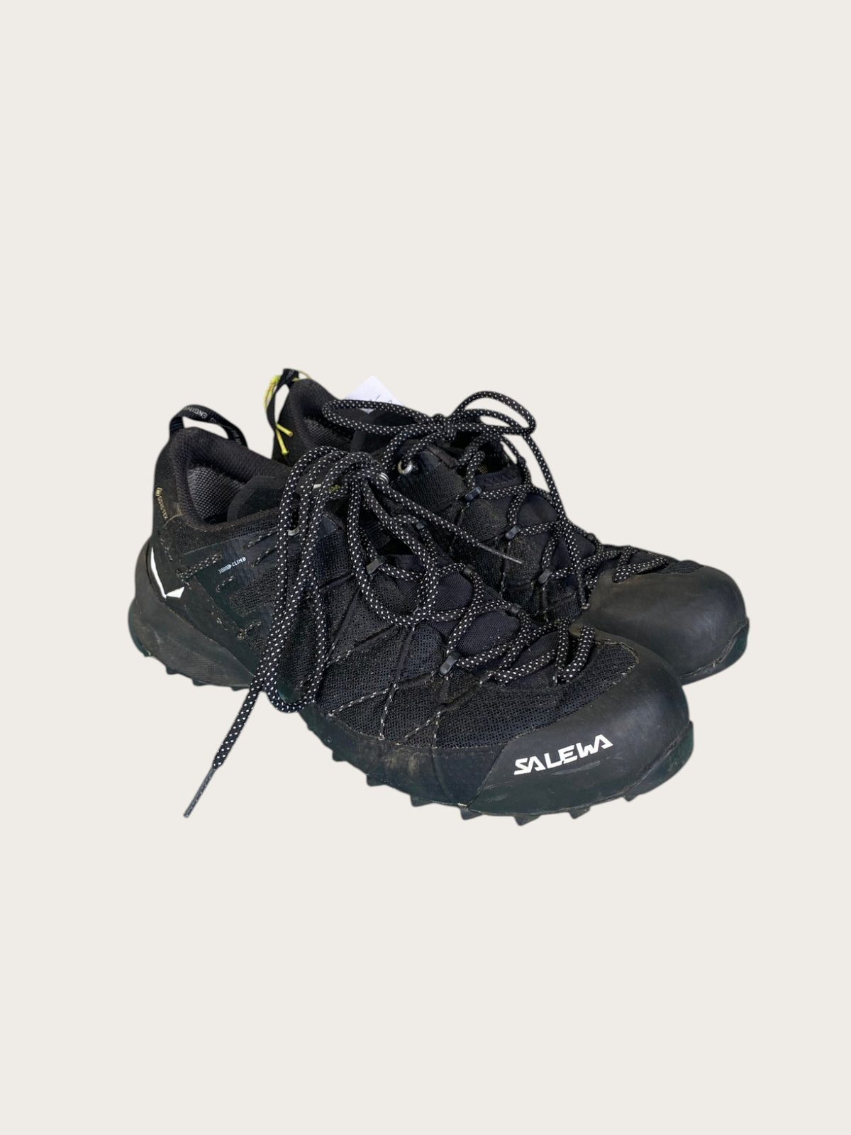 Salewa Wildfire 2 GTX Zustiegsschuhe (39)