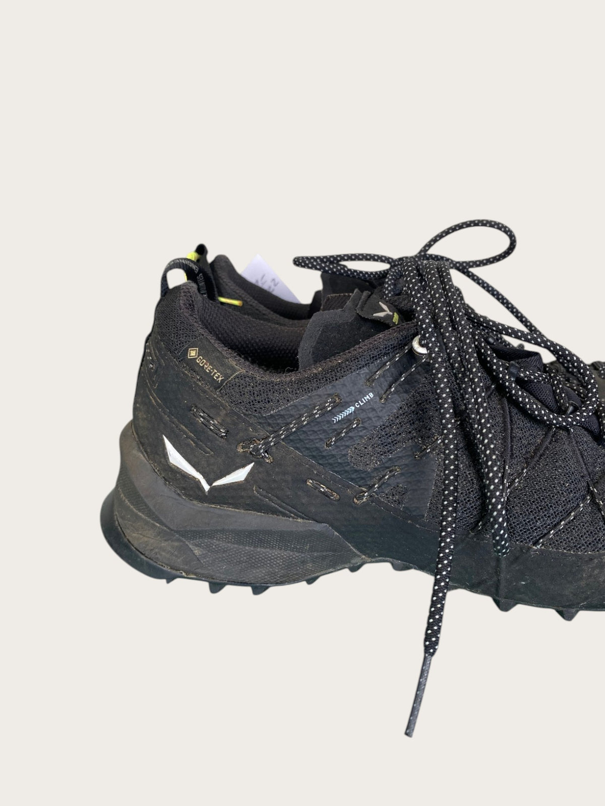 Salewa Wildfire 2 GTX Zustiegsschuhe (39)