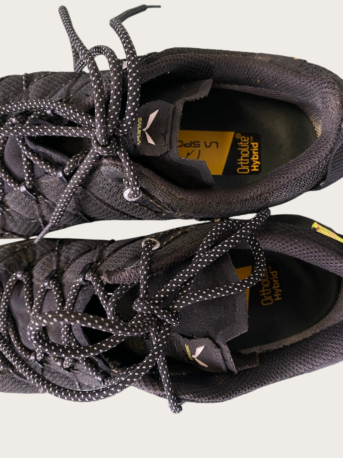 Salewa Wildfire 2 GTX Zustiegsschuhe (39)