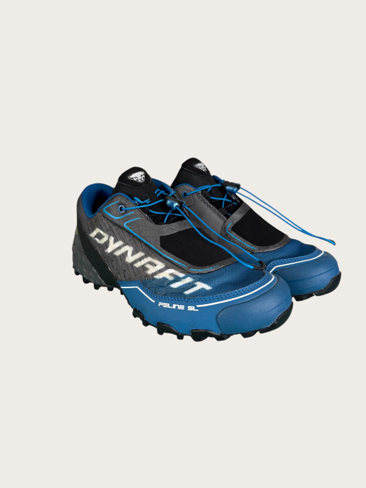 Dynafit GTX Trailrunningschuhe (41)