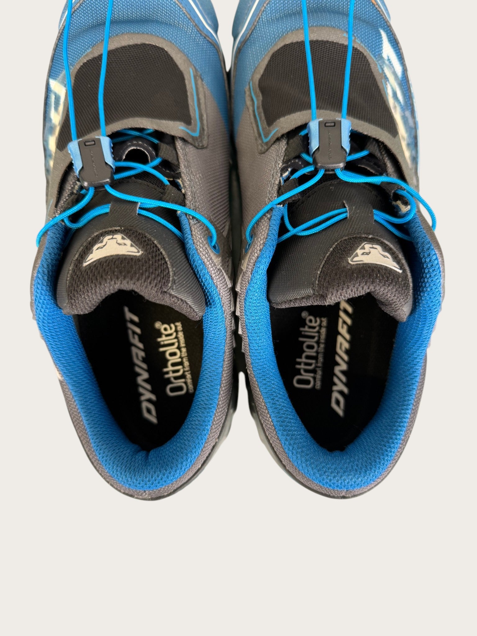 Dynafit GTX Trailrunningschuhe (41)