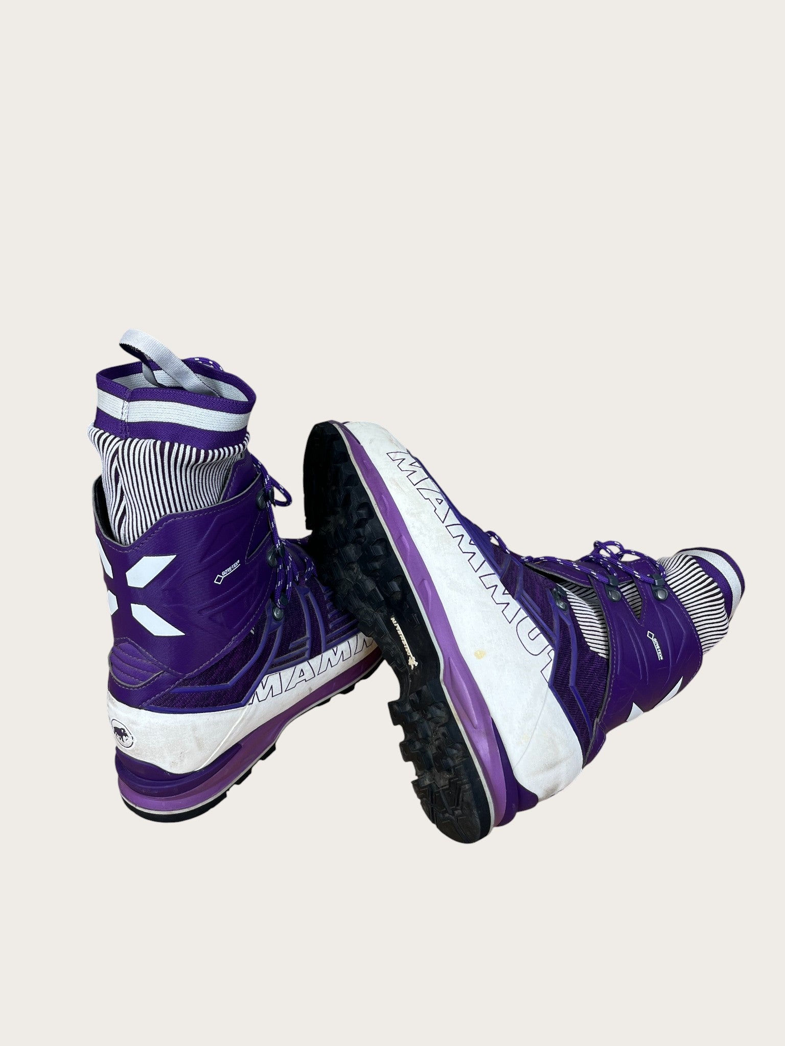 Mammut GTX Bergschuhe (40.5)