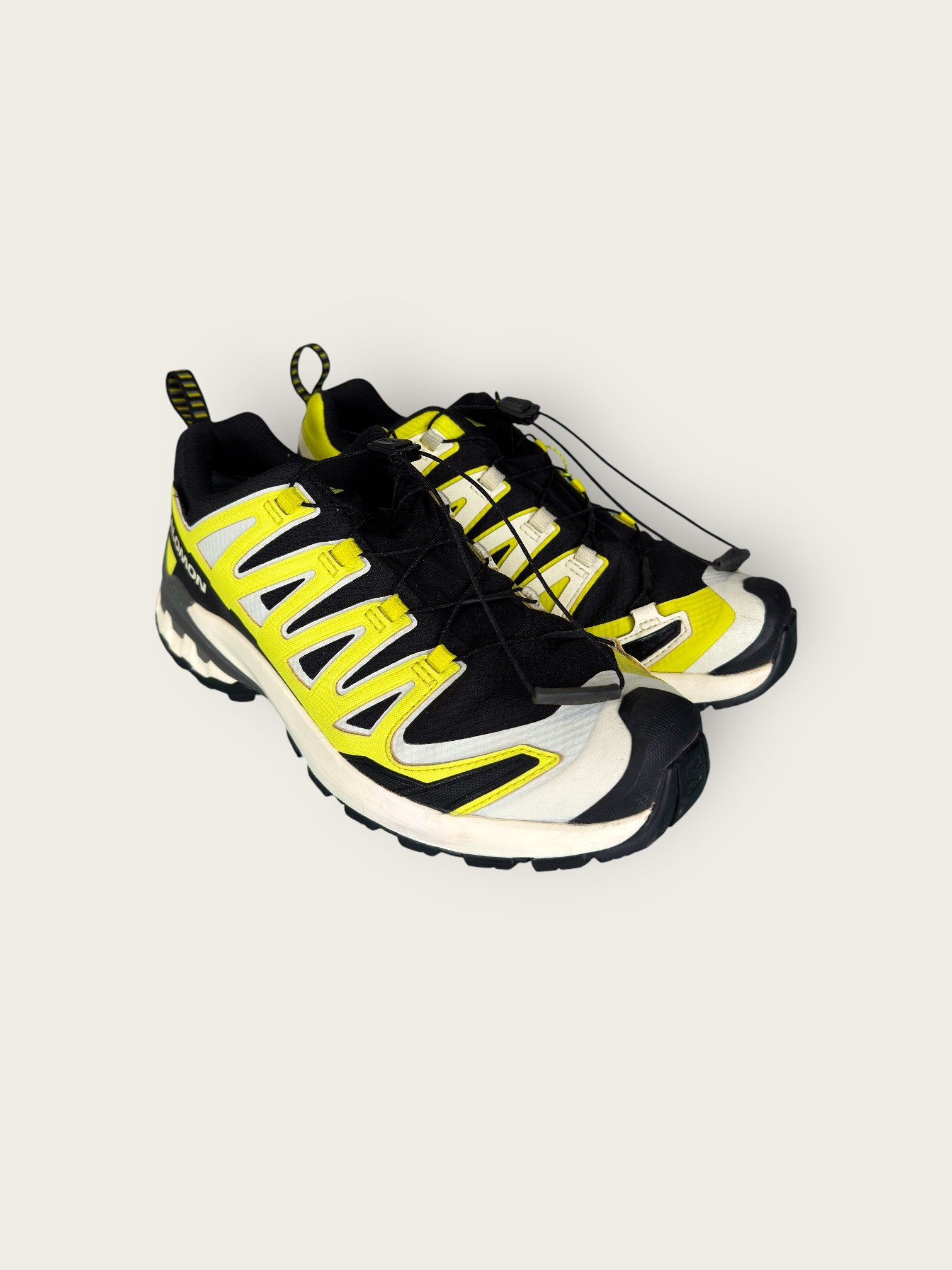 Salomon GTX Trailrunningschuhe (41.5)