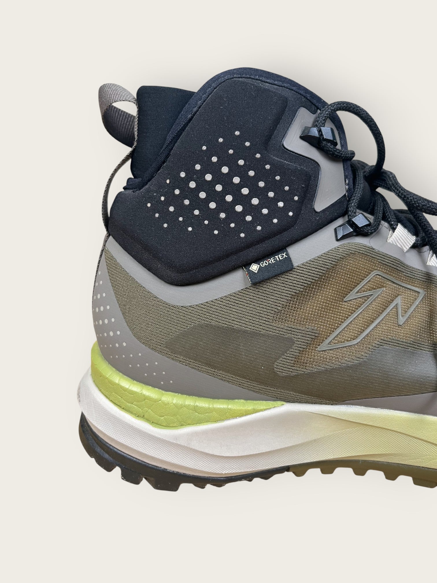 Tecnica GTX Wanderschuhe (42)