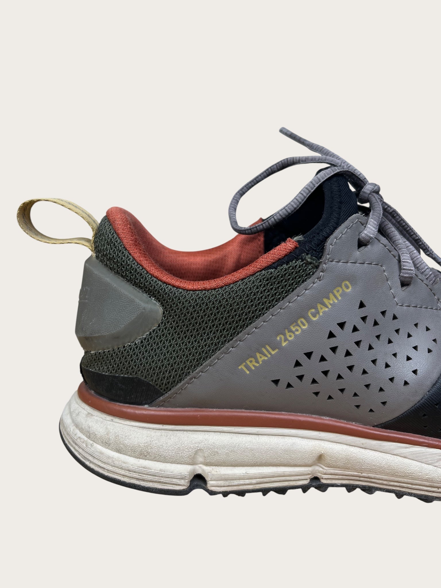 Danner Wanderschuhe tief (44.5)