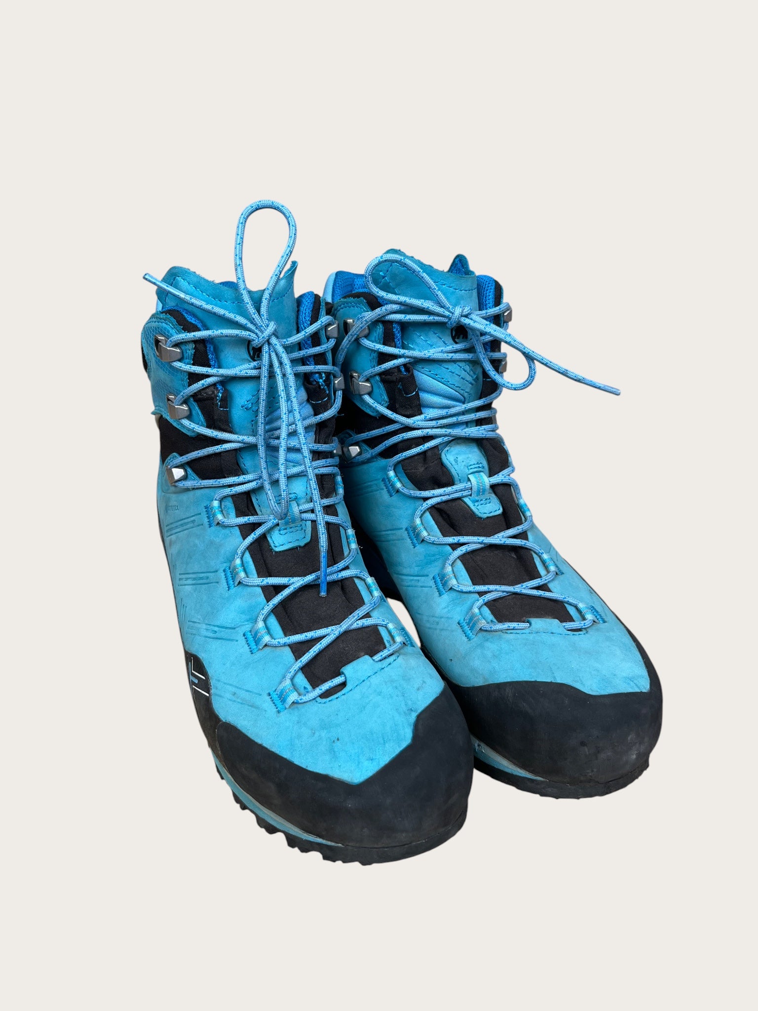 Mammut GTX Bergschuhe (40.5)