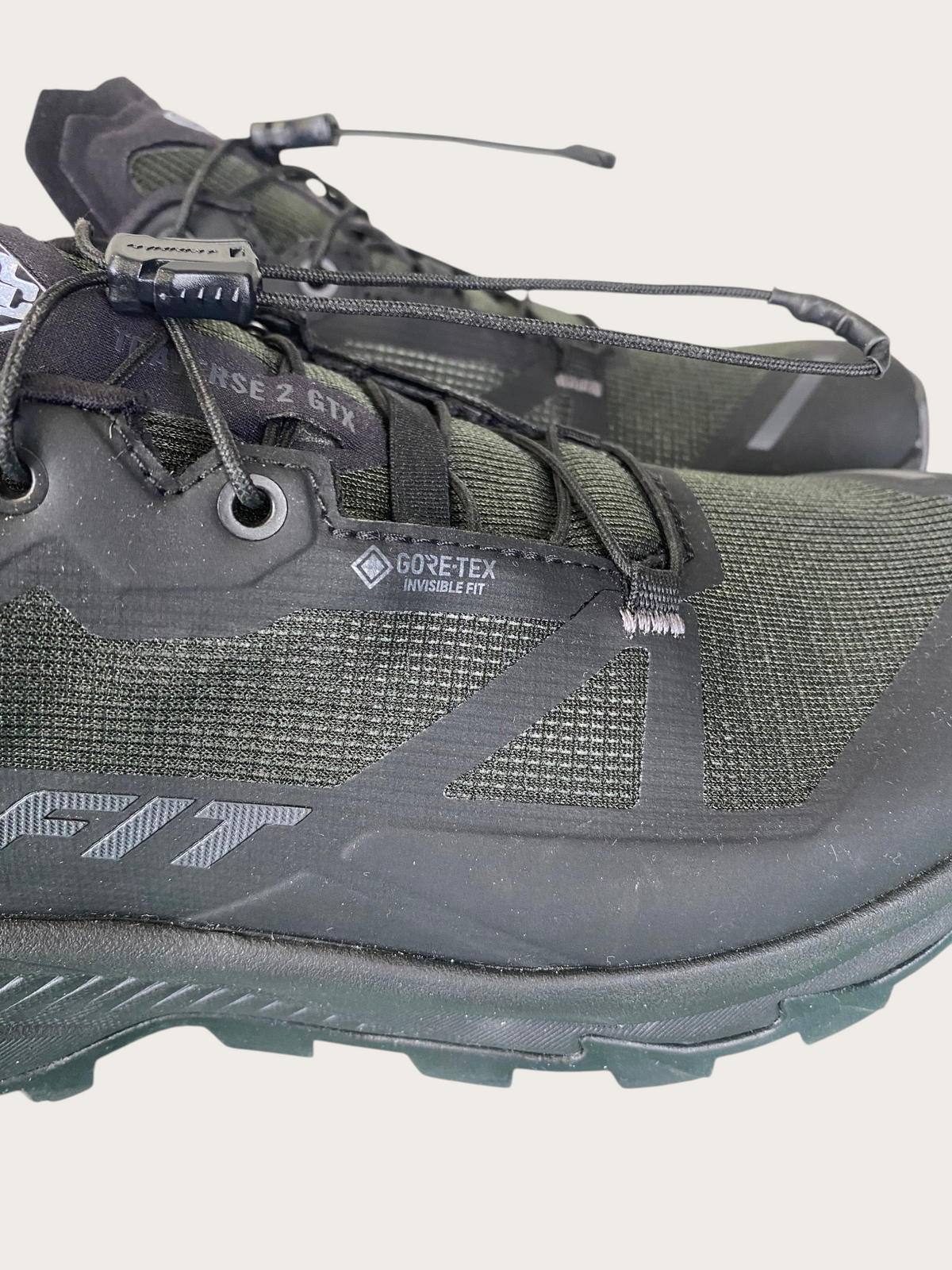 Dynafit Traverse 2 GTX Trailrunningschuhe (38)