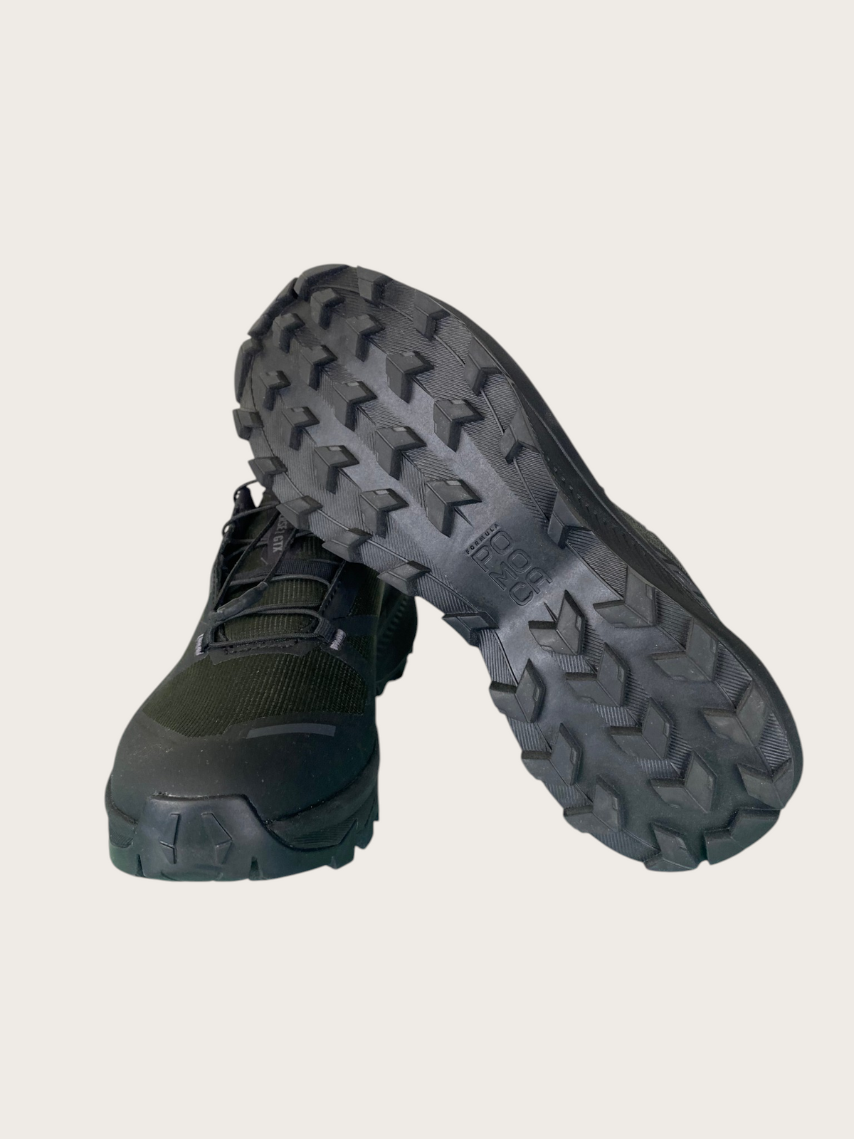 Dynafit Traverse 2 GTX Trailrunningschuhe (38)