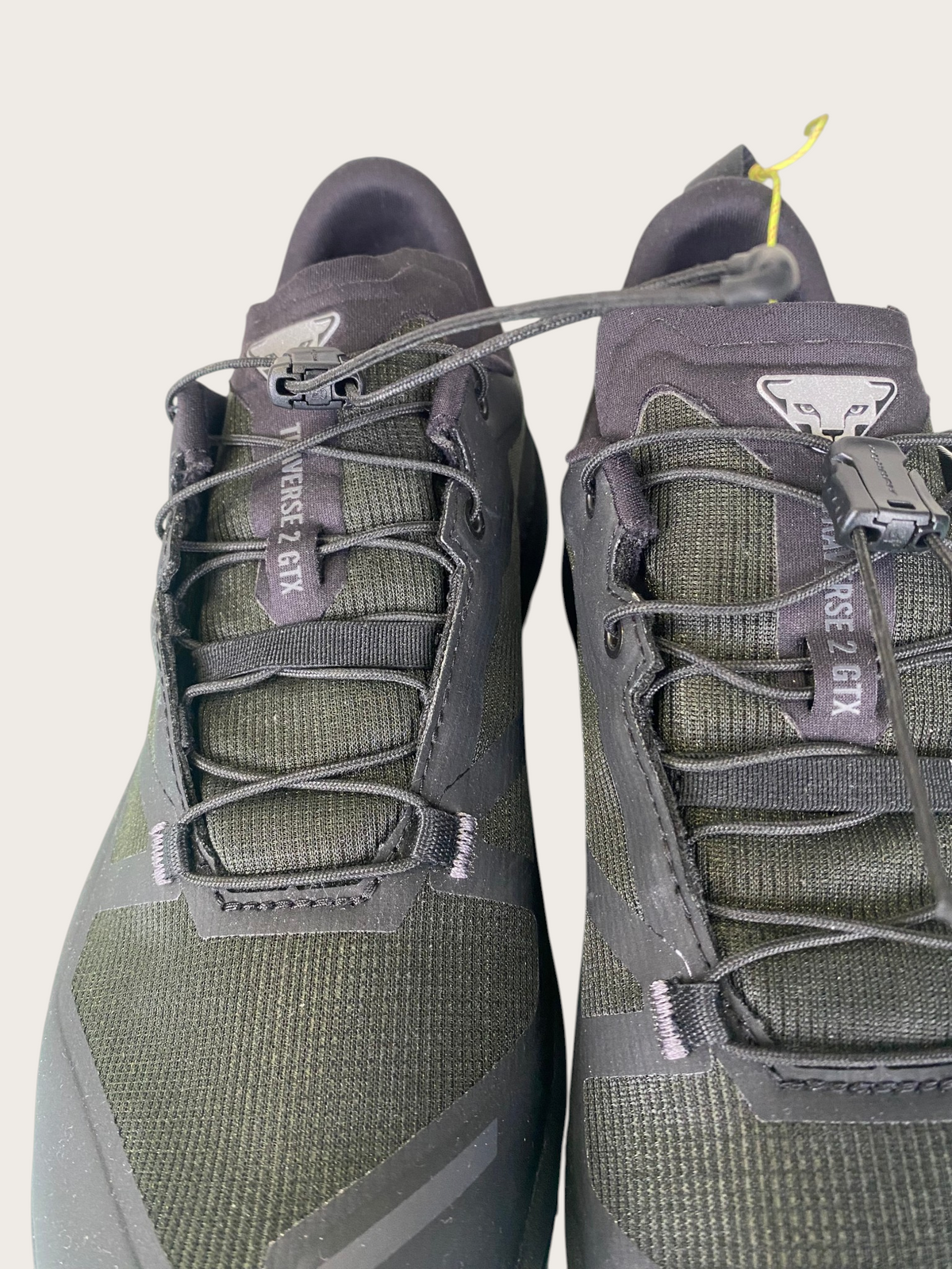 Dynafit Traverse 2 GTX Trailrunningschuhe (38)