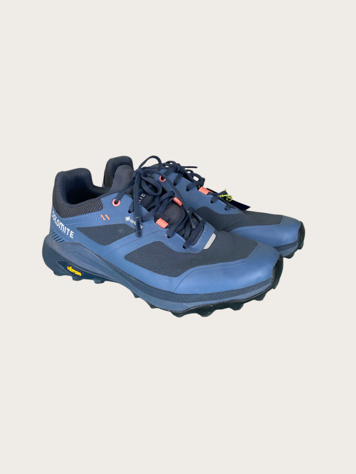 Dolomite Nibelia GTX Wanderschuhe tief (40)