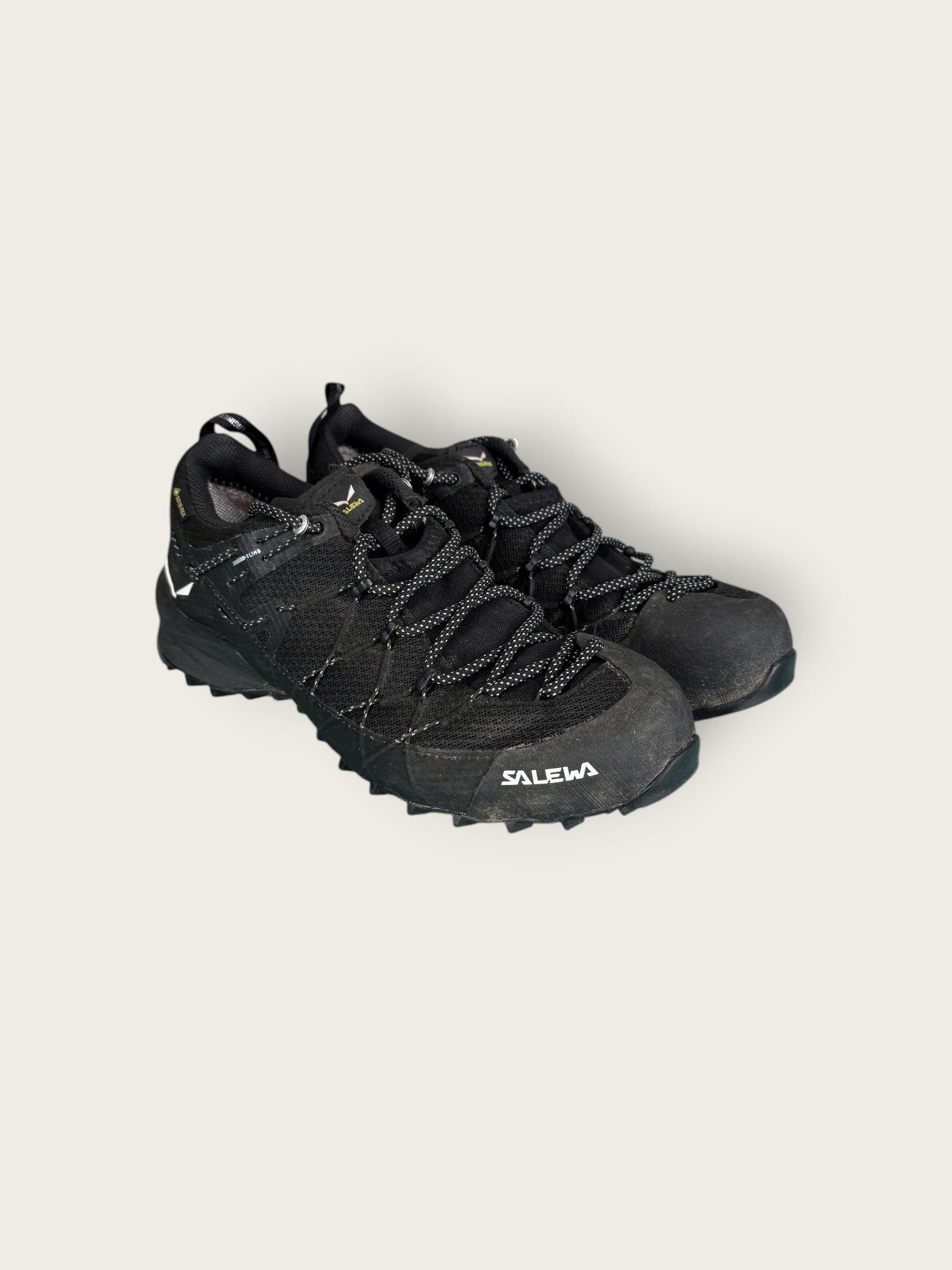 Salewa GTX Zustiegsschuhe (38)