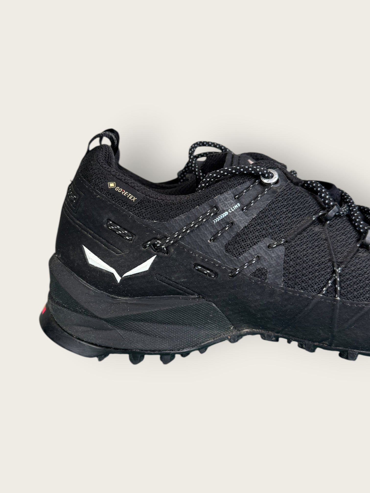 Salewa GTX Zustiegsschuhe (38)