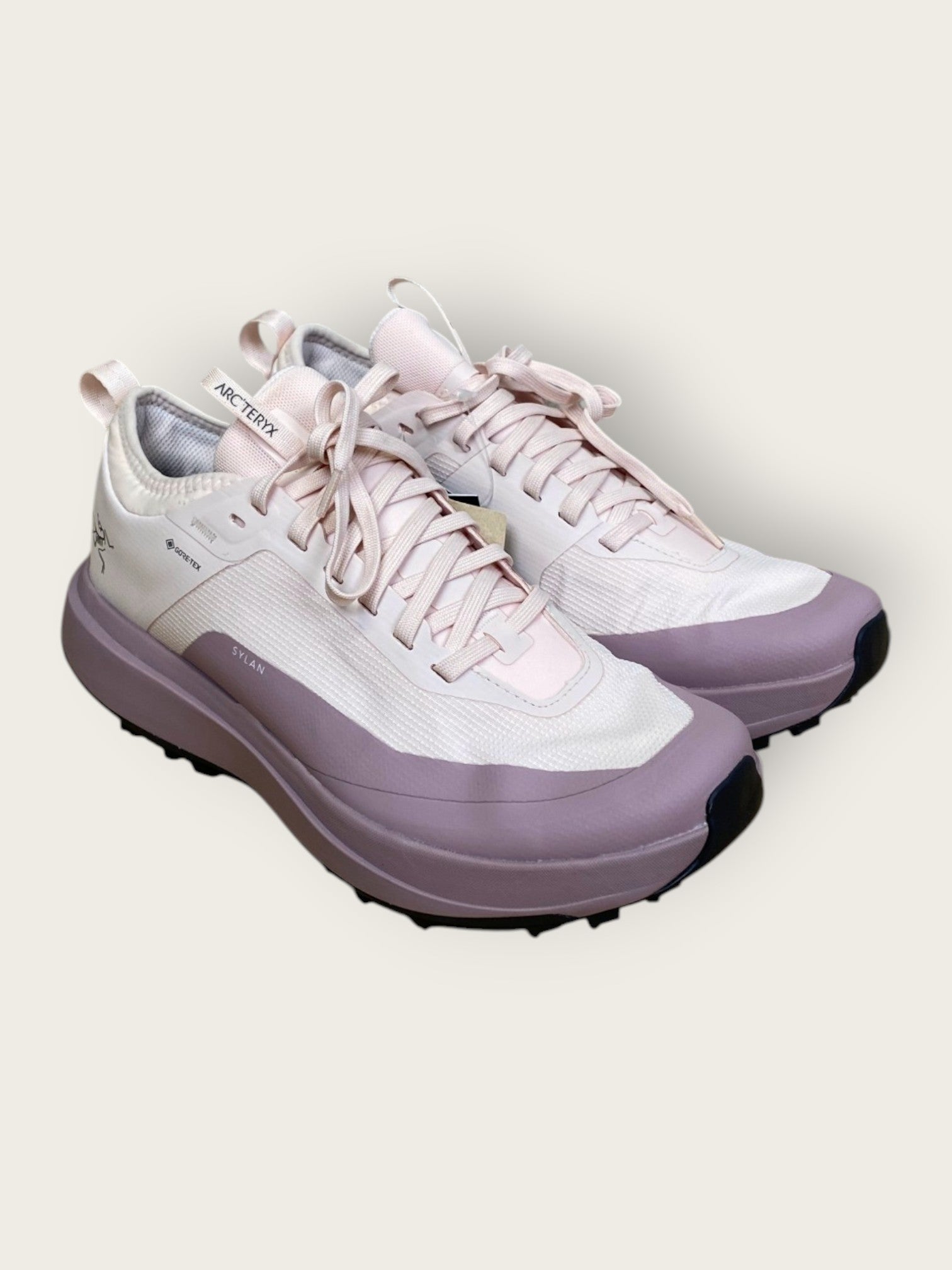 Arc'teryx GTX Trailrunningschuhe (39.5)