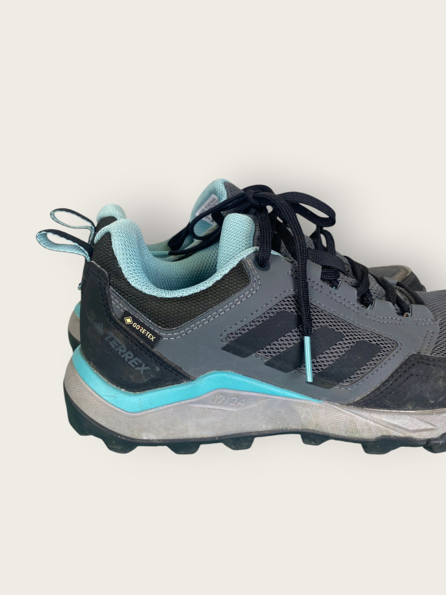 Adidas Terrex Tracerocker GTX Wanderschuhe tief (37)