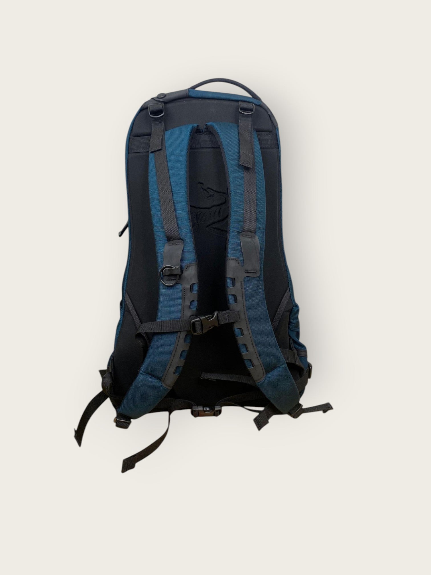 Arc'teryx Freizeitrucksack (22L)