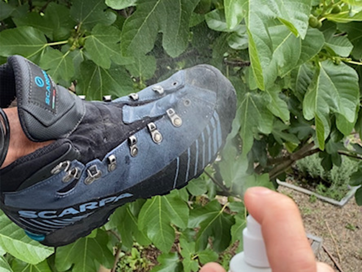 Du Wanderst worauf du dich Bettest