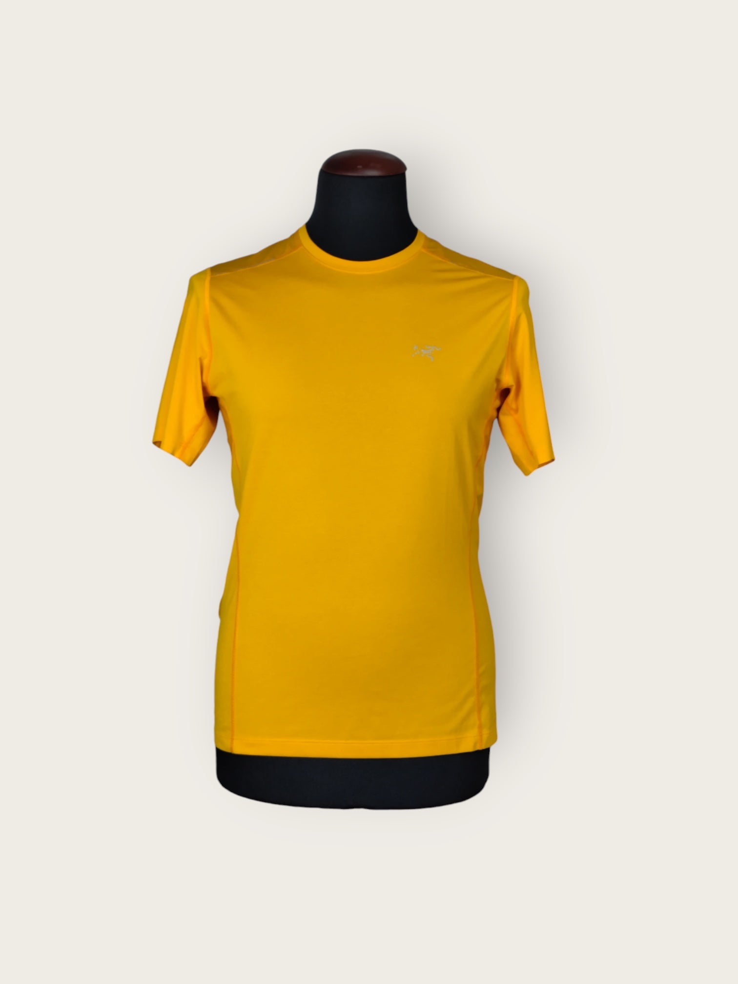 Arcteryx T-Shirt (S)