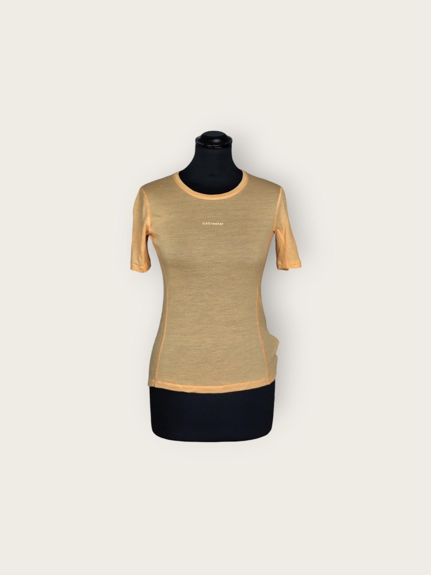 Icebreaker Merino T-Shirt