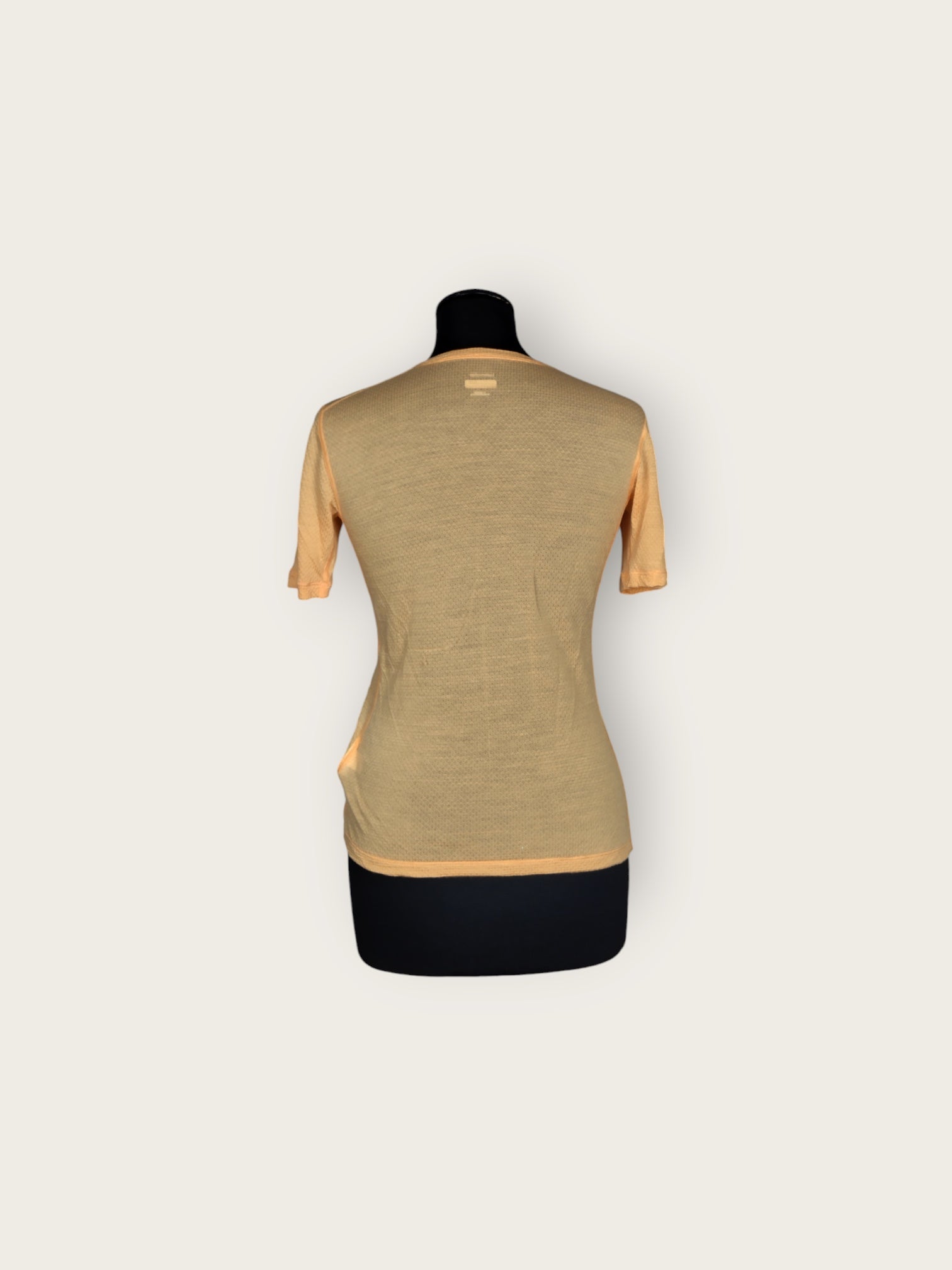 Icebreaker Merino T-Shirt